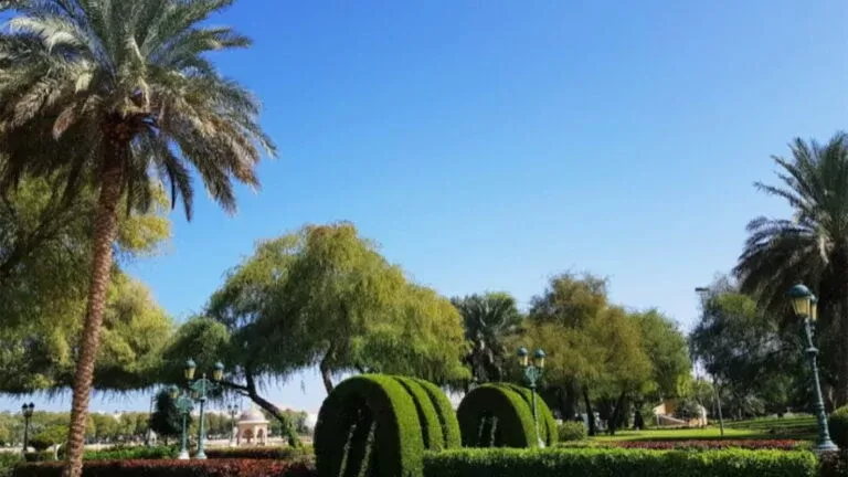  اشعل الخليج بسبب جرأته بشكل غير مسبوق .. شخص يوثيق مجسم غريب في حديقة في سلطنة عُمان .. شاهد الصورة
