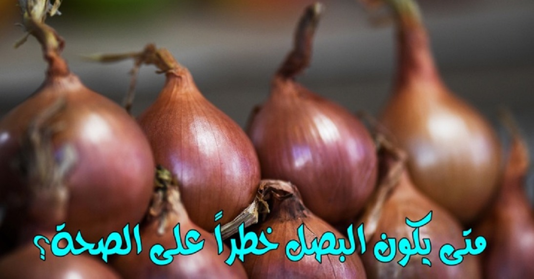 البصل