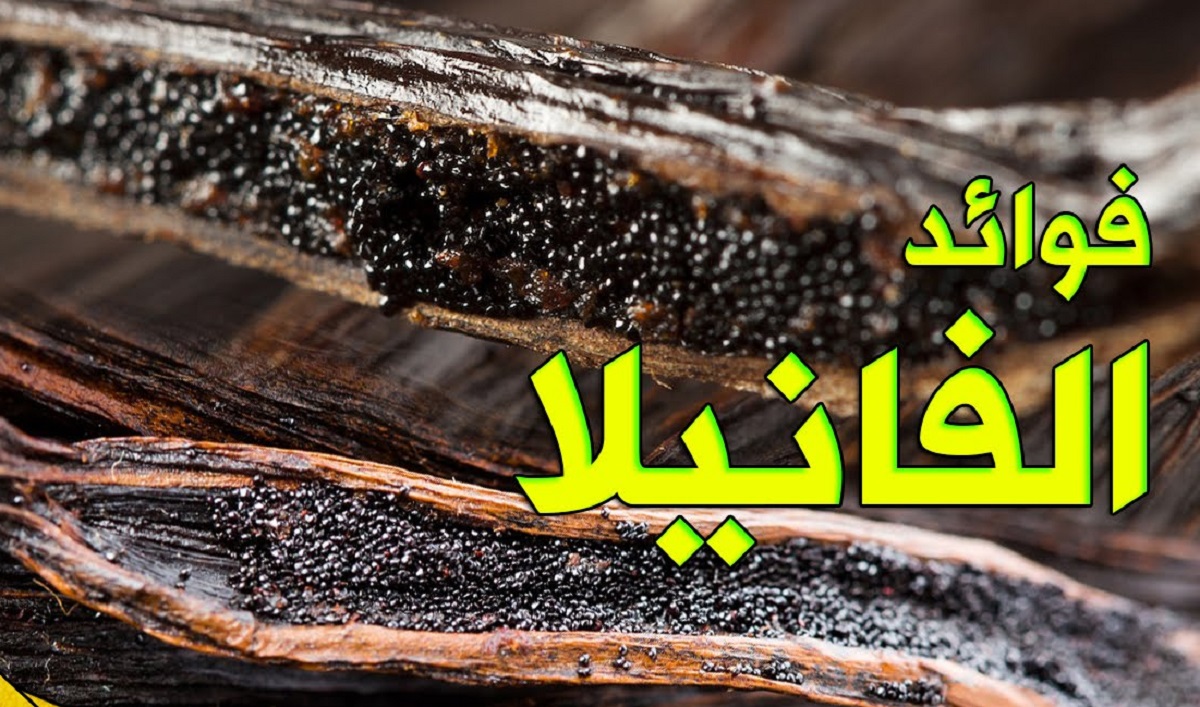 فوائد الفانيلا