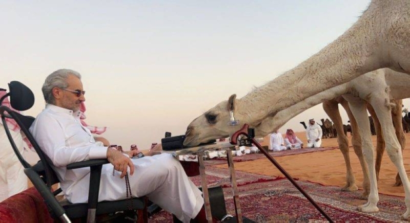 شاهد أحدث الصور للأمير السعودي الوليد بن طلال في البرية والى جانبه الأبل .. كيف غزاه الشيب واصبح عجوزاً والجمهور يعلق !