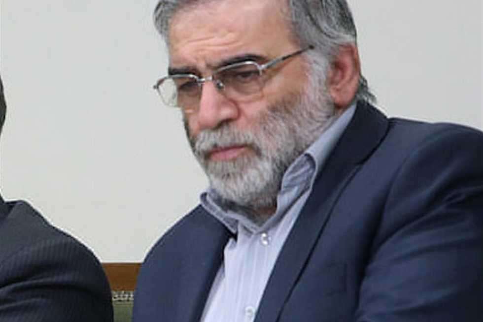 محسن فخري زاده