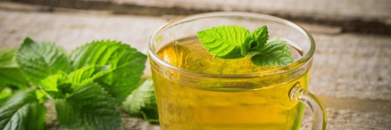 إليك فوائد شرب النعناع قبل النوم.. لن تستغني عنه بعد اليوم