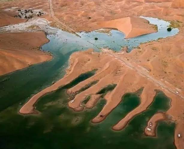 شاهد بالصور ..أكبر صحاري العالم في السعودية تكتسي بحلة الشتاء..(صور)