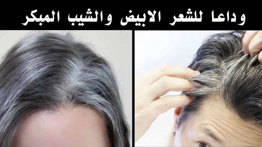 وداعا للشيب المبكر .. خلطة ملح الطعام وزيت الزيتون تقضي على الشعر الأبيض بدون رجوعه