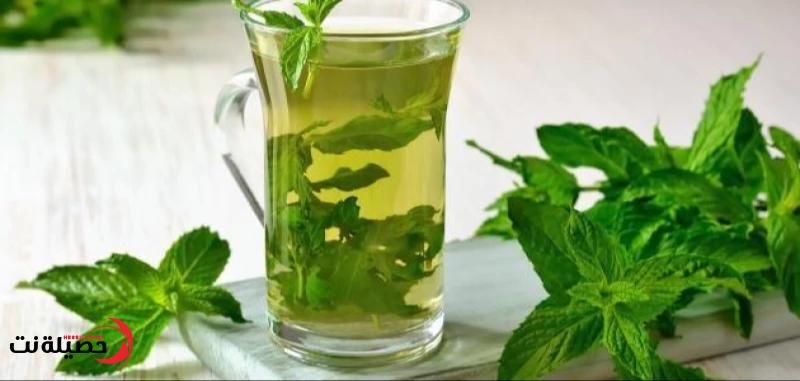 من منزلك اقضي على مستقبل الأطباء .. استخدم هذه العشبة وتخلص من سموم الكلى والكبد والجسم بدقائق