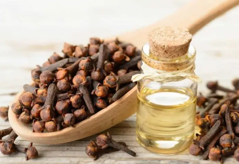 تعرف على الفوائد التجميلية لزيت القرنفل 
