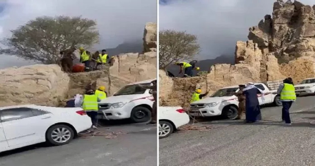 نمر يفترس مواطن في السعودية